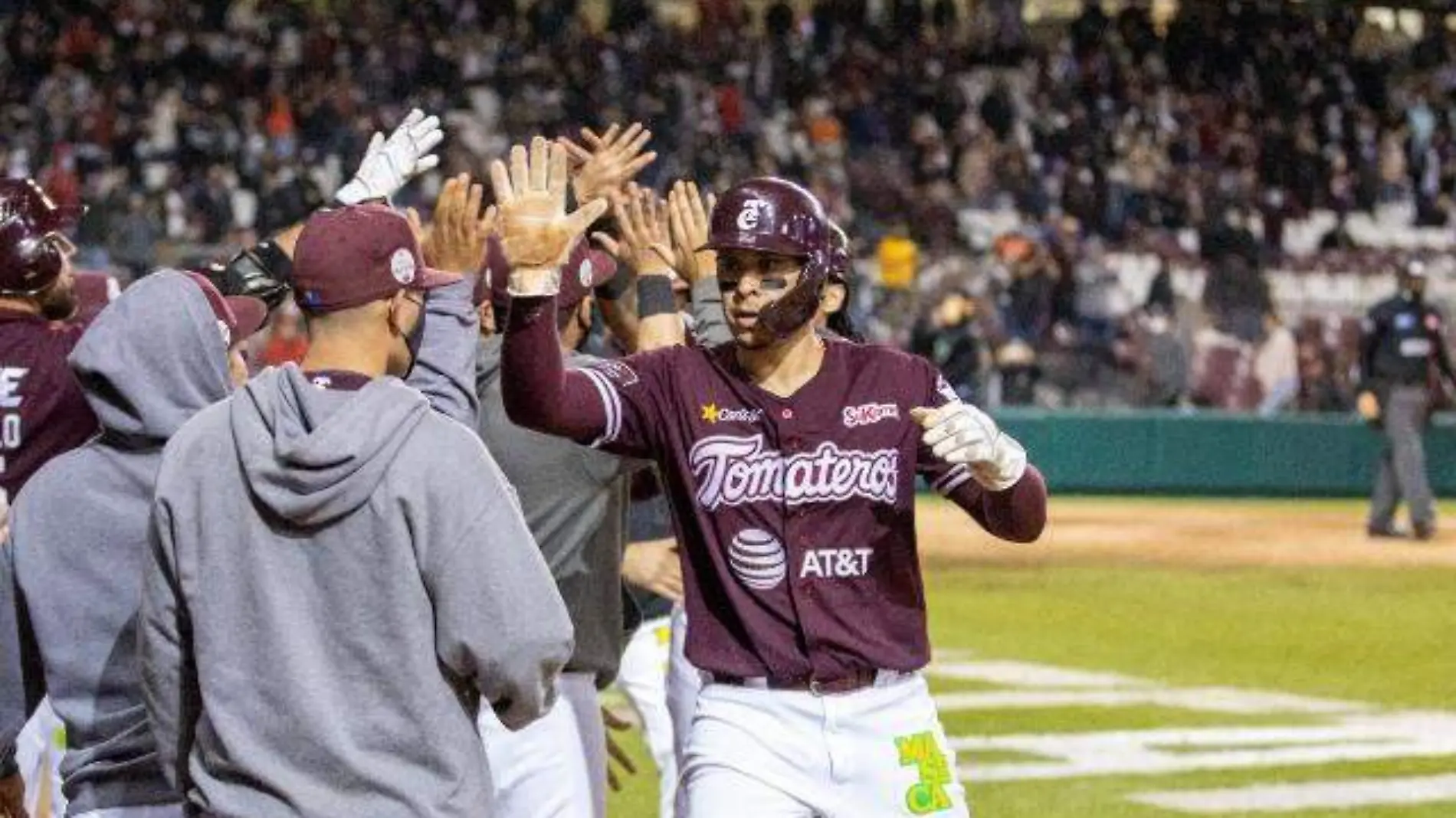 TOMATEROS UNO